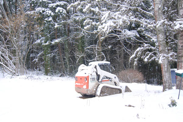 The skid steer waits out the snow...